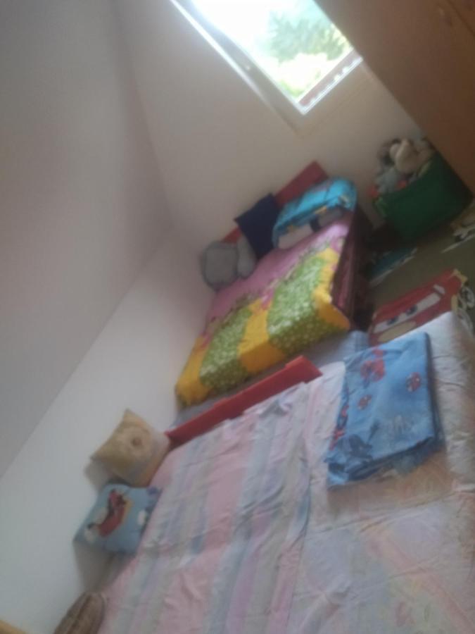 Bor, Savaca - Porodicna Vikendica Za Izdavanje Exterior foto