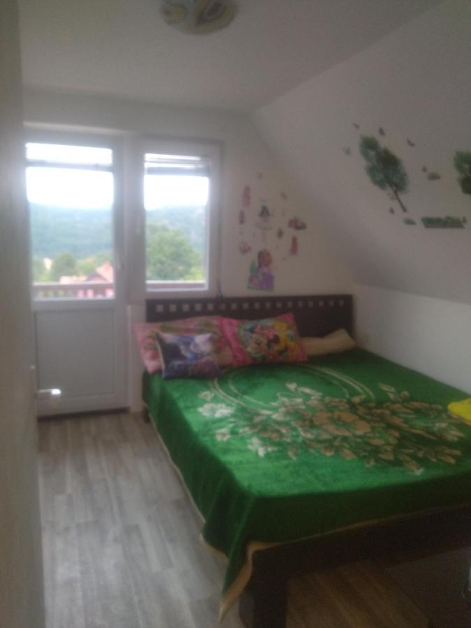 Bor, Savaca - Porodicna Vikendica Za Izdavanje Exterior foto