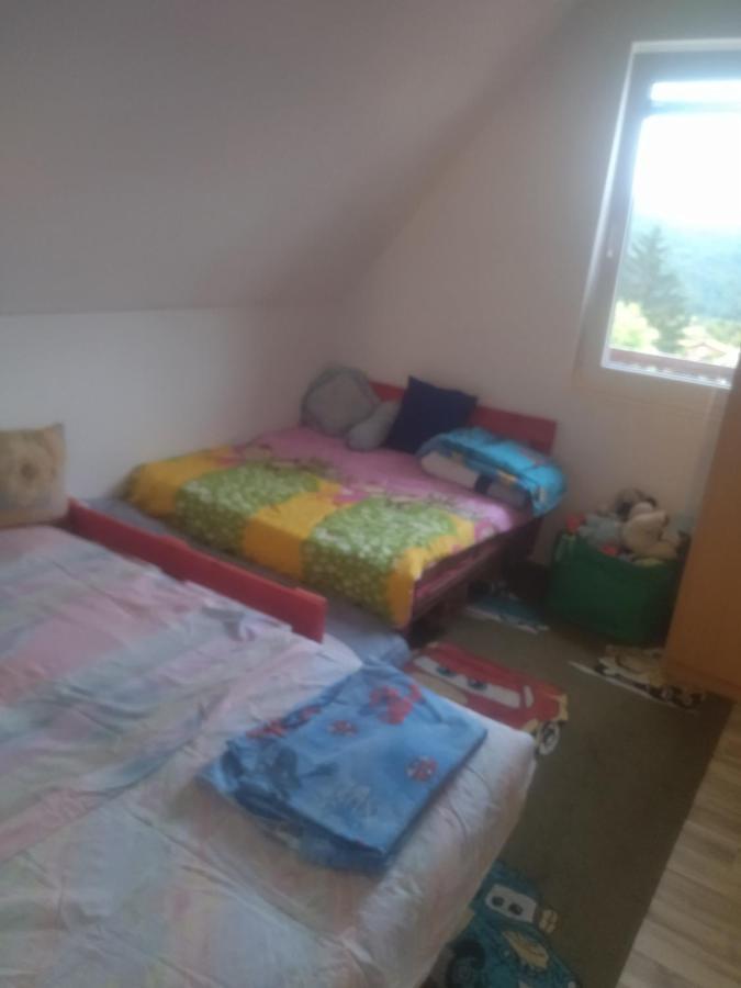 Bor, Savaca - Porodicna Vikendica Za Izdavanje Exterior foto